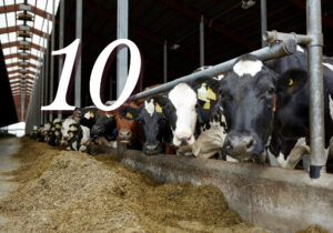 Dairy Consolidation