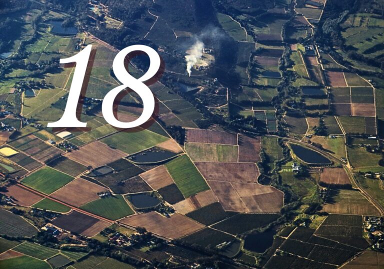 Extraordinary Consolidation of Farming in Just Five Years