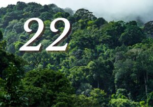 Financializing Nature Itself