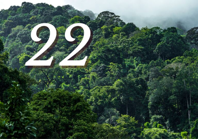 Financializing Nature Itself