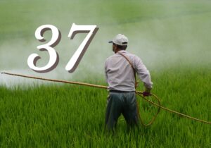 Paraquat