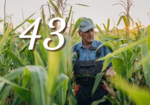 Risky Pesticides — What You Are Not Being Told