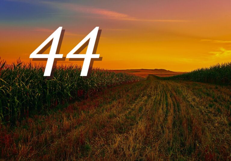 Soil Health