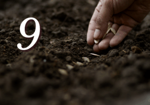 Crop Insurance