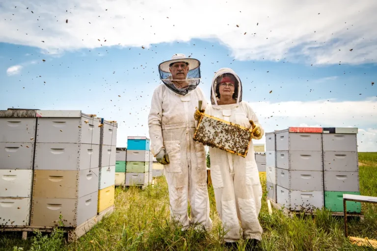 America’s bees are dying — and our food supply is at risk