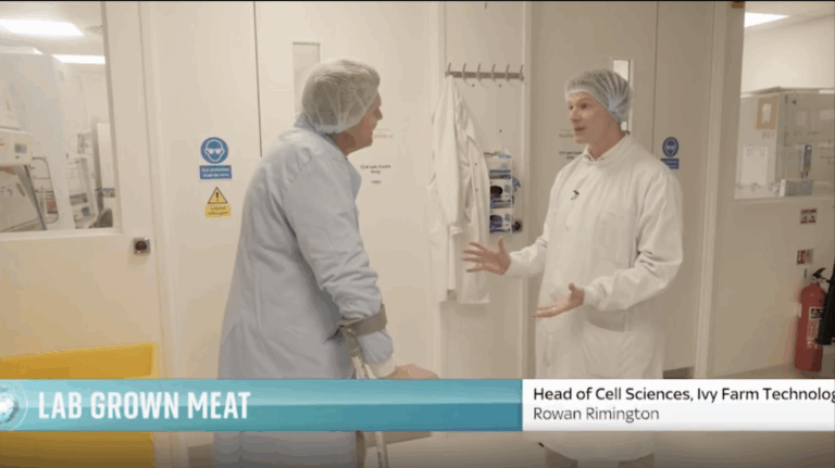 Lab-grown meat propaganda hits the airwaves