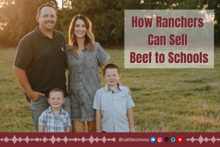 Finding a Way to Sell Food Locally to Schools or Other Institutions