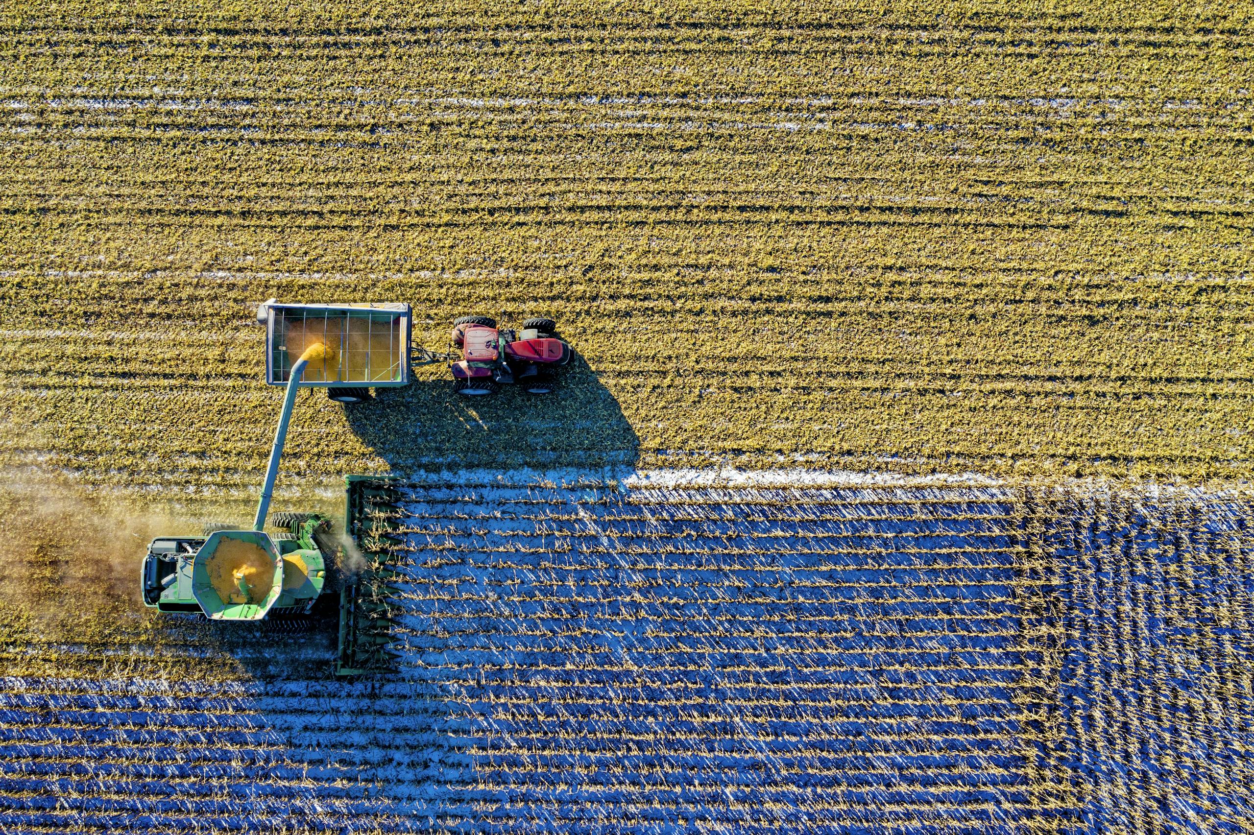 Drone captures vibrant aerial view of tractors harvesting corn in Minnesota field.