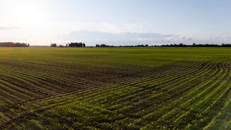 Field Photos