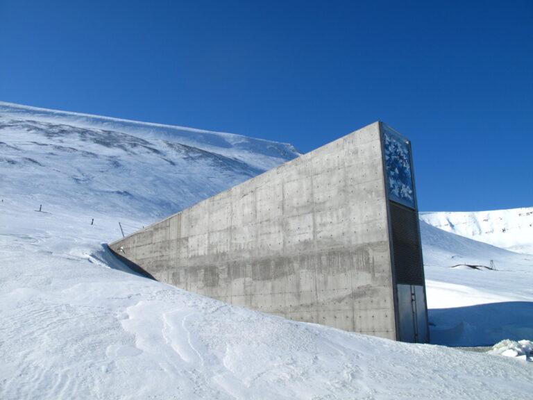 Inside the doomsday seed vault