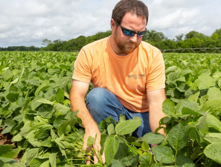 Georgia farmer drops 3,000 acres as soaring costs threaten 2026 planting