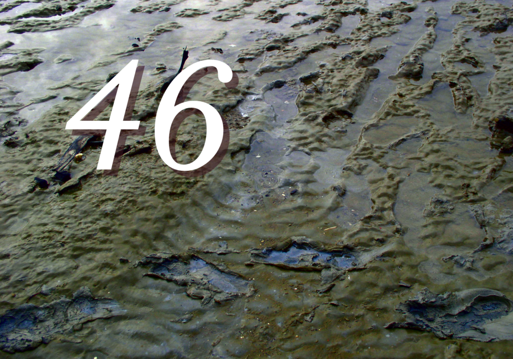 Photo by Adam Cohn via Flickr (CC BY-NC-ND 2.0)