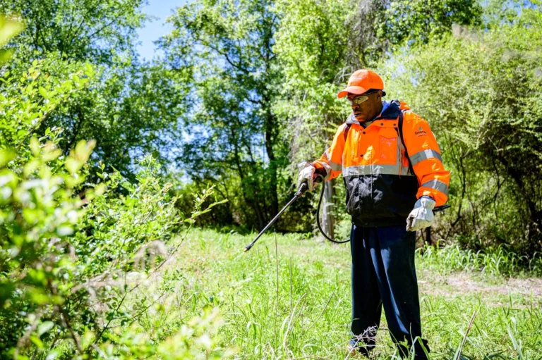 EPA reapproves dicamba despite drift damage concerns