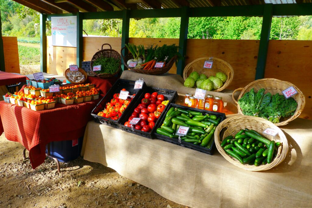 (CC BY 2.0 via flickr - by Rick Obst)