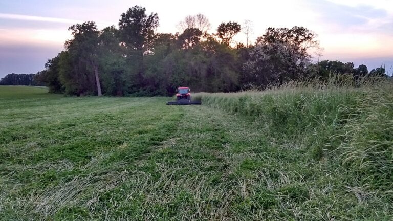 Regenerative Practices Cut Costs and Chemical Use, Indiana Farmer Says