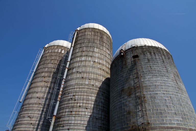 Three tall silos with metal ladders under a clear blue sky in North Carolina.