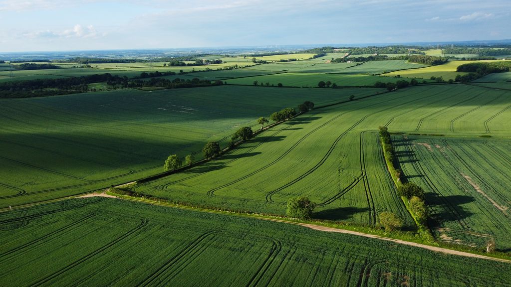 A stunning aerial view of lush green fields in Central Bedfordshire, showcasing rural English landscape.