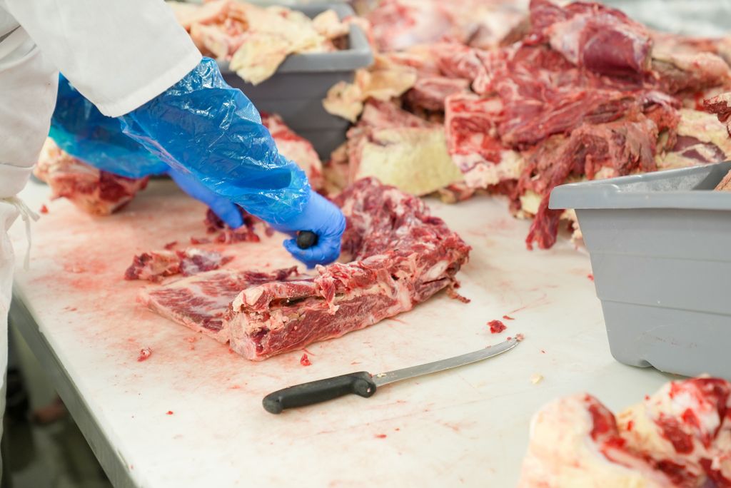 Butcher slicing raw meat on a table in NC. Focus on freshness and precision.