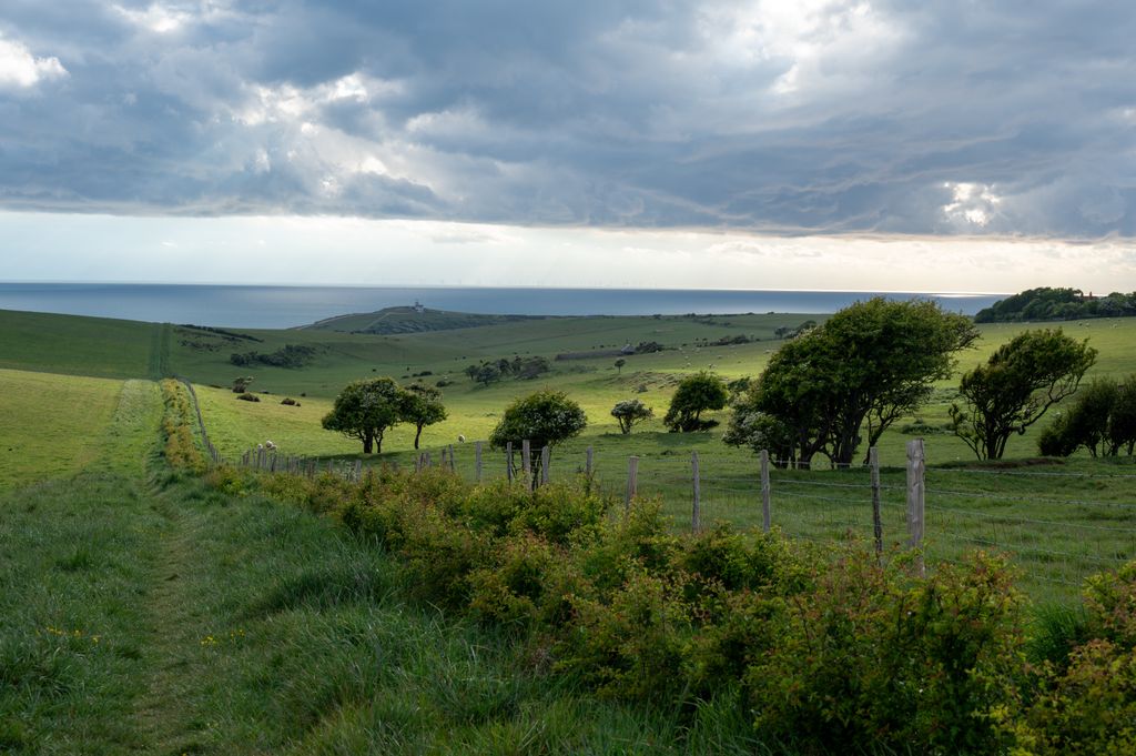 Peaceful landscape of rolling hills, trees, and sea in England under a cloudy sky.